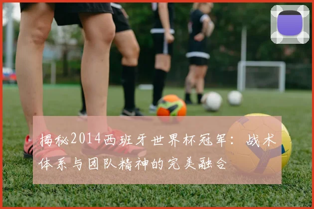 揭秘2014西班牙世界杯冠军：战术体系与团队精神的完美融合