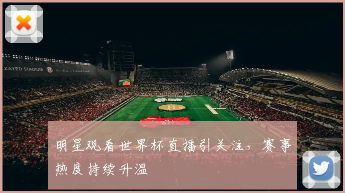 明星观看世界杯直播引关注，赛事热度持续升温