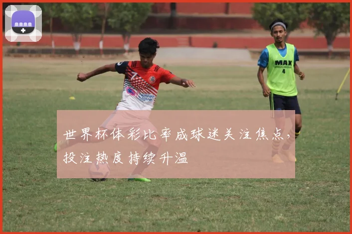 世界杯体彩比率成球迷关注焦点，投注热度持续升温