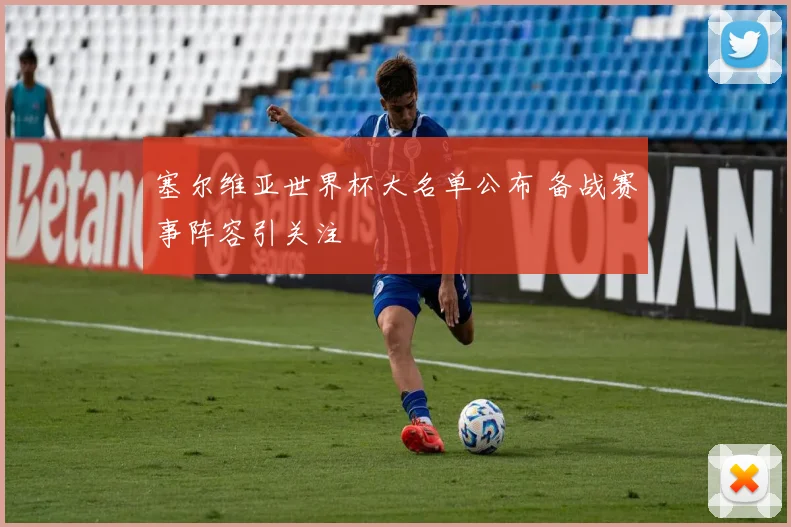 塞尔维亚世界杯大名单公布 备战赛事阵容引关注