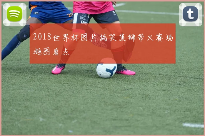2018世界杯图片搞笑集锦带火赛场趣图看点