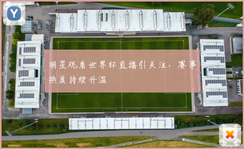 明星观看世界杯直播引关注，赛事热度持续升温