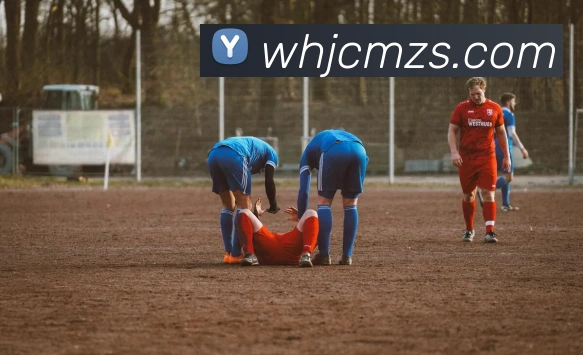 mksports官方APP 高清赛事图